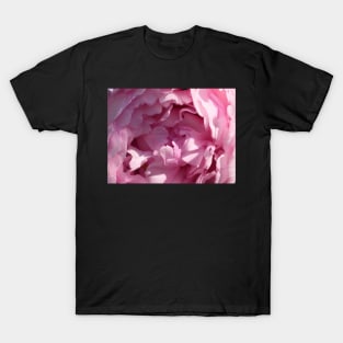 Pink Peony Closeup T-Shirt